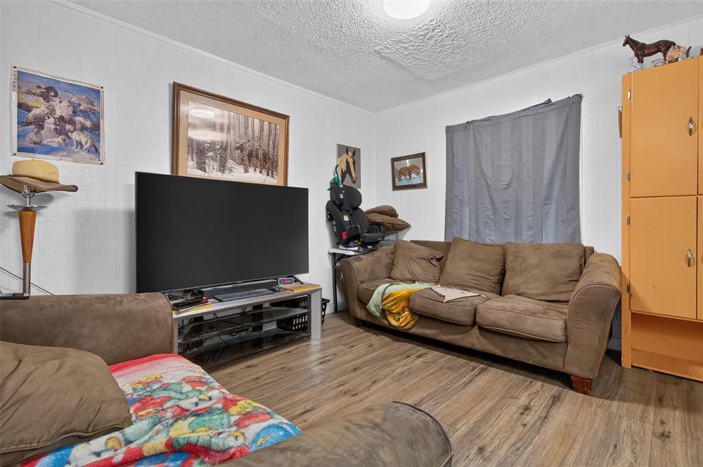389 Harbison Avenue W, Winnipeg, MB - Indoor Photo Showing Living Room