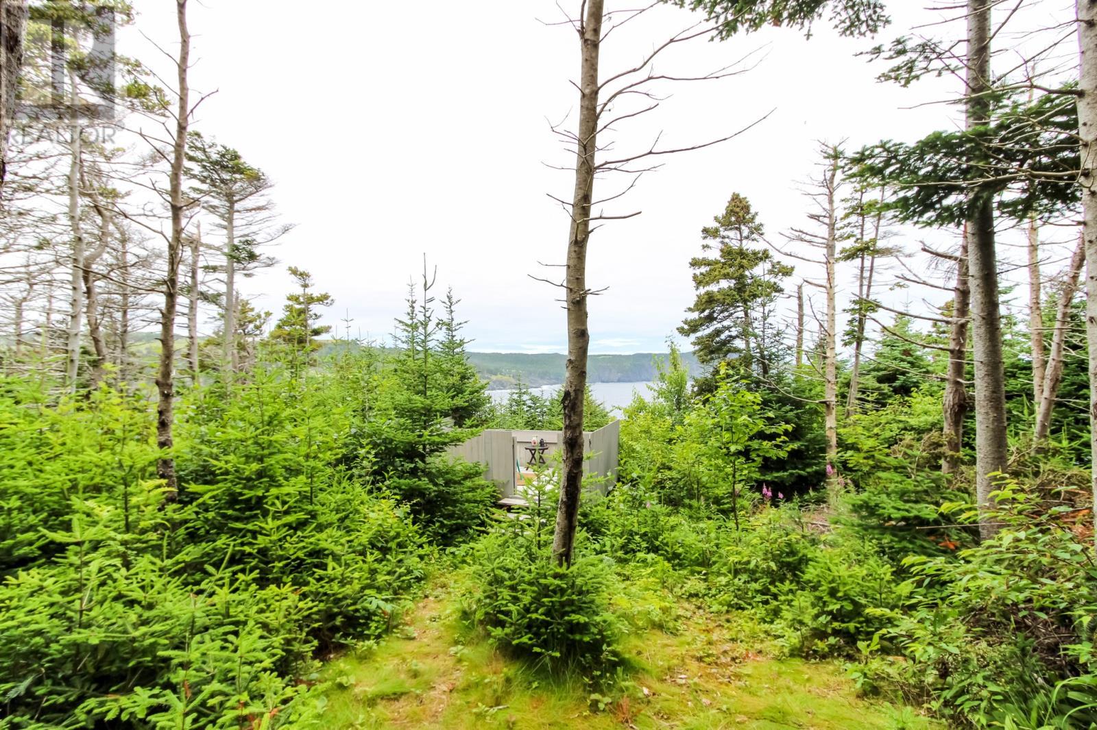 45 Motion Lane, Torbay, NL - Outdoor With View