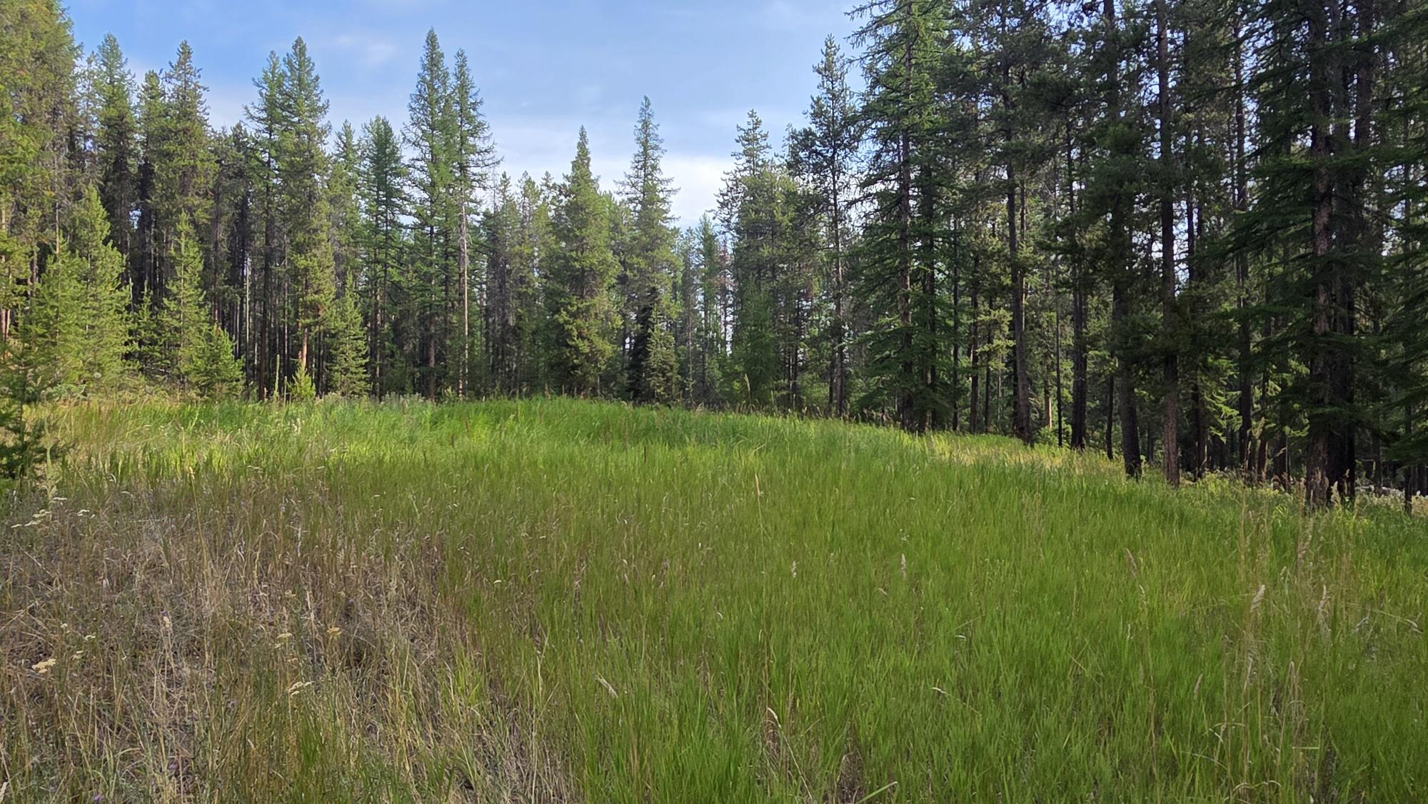 8025 Sorensen Road, Kimberley, BC