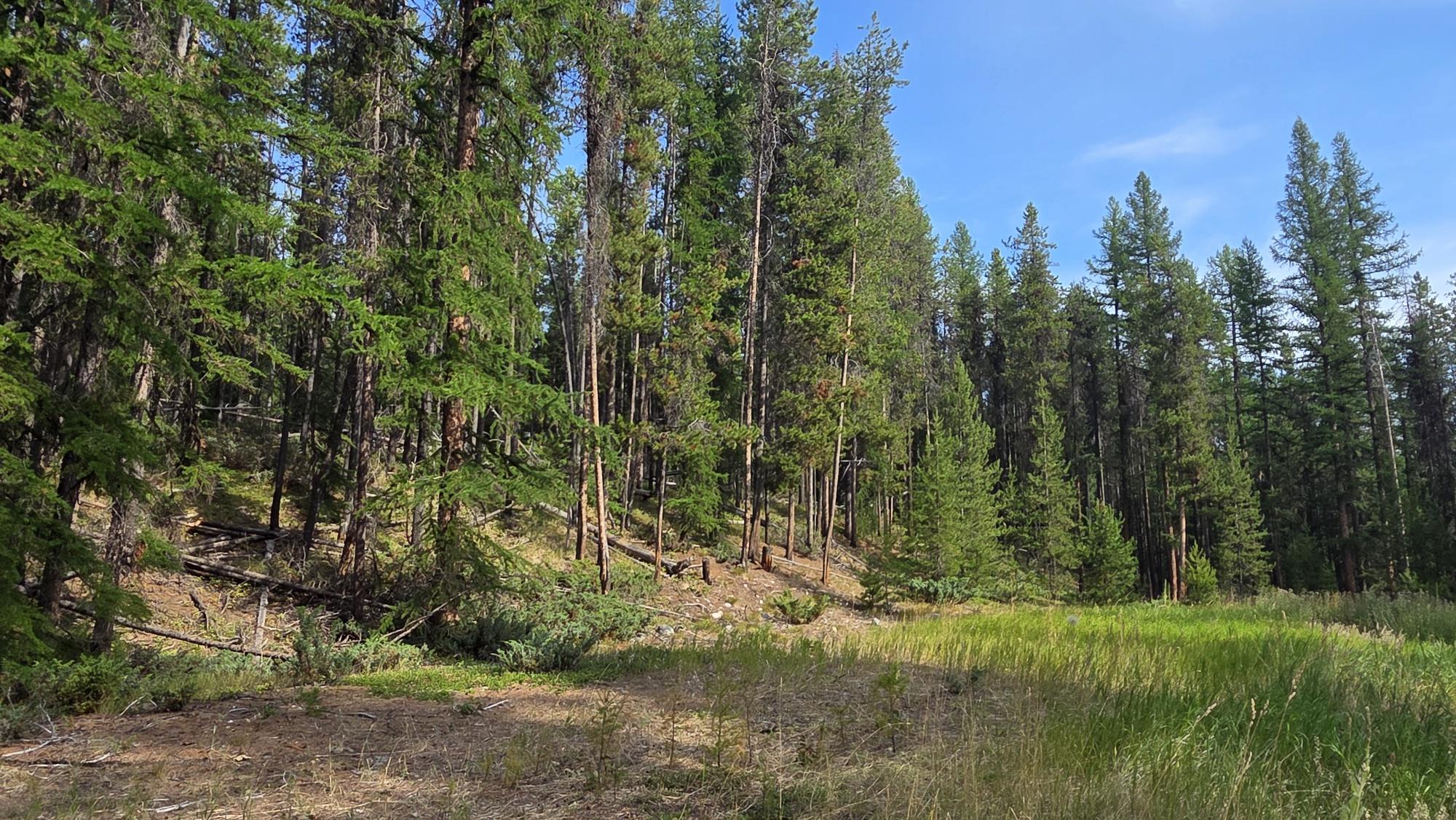 8025 Sorensen Road, Kimberley, BC