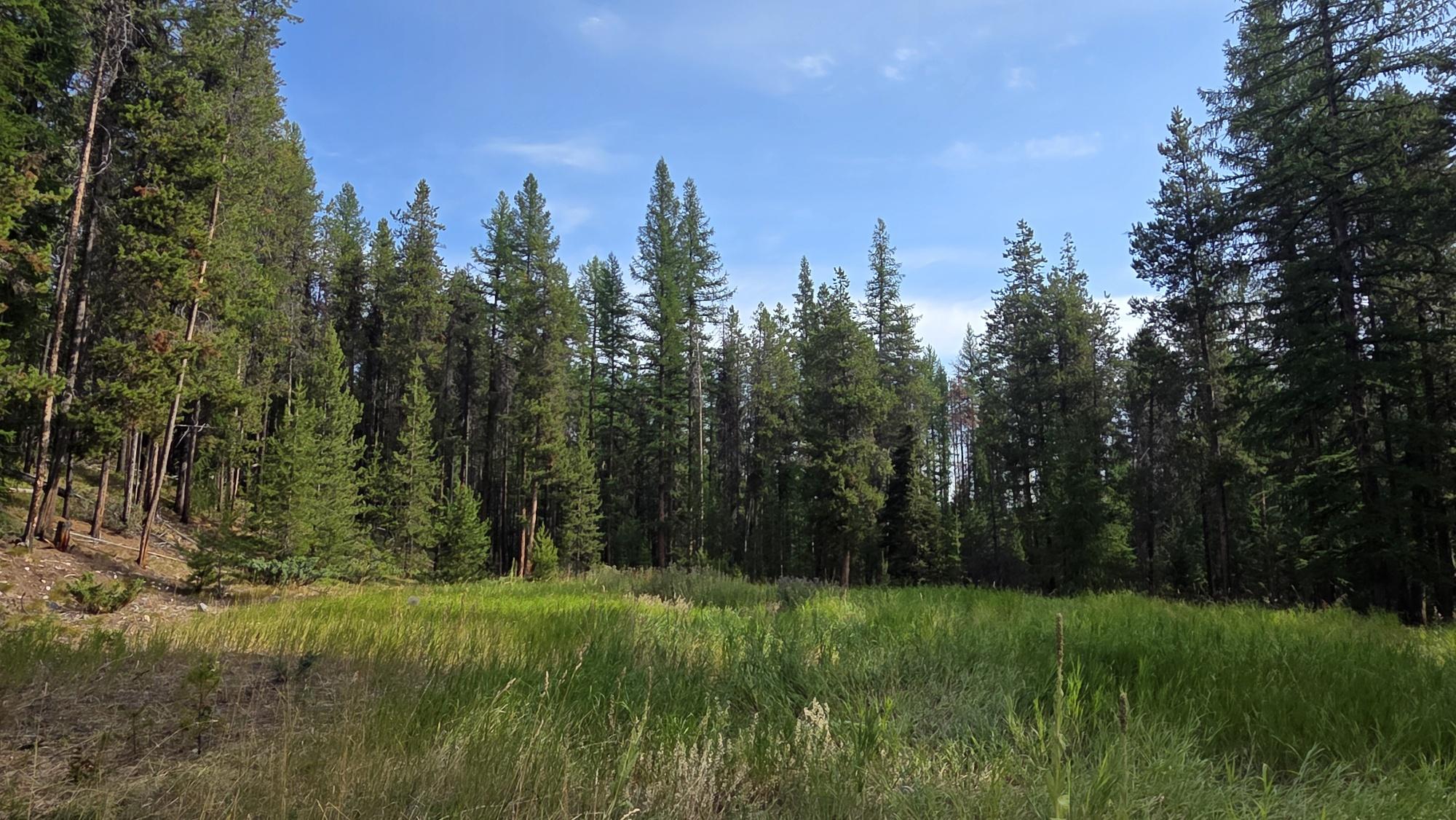 8025 Sorensen Road, Kimberley, BC