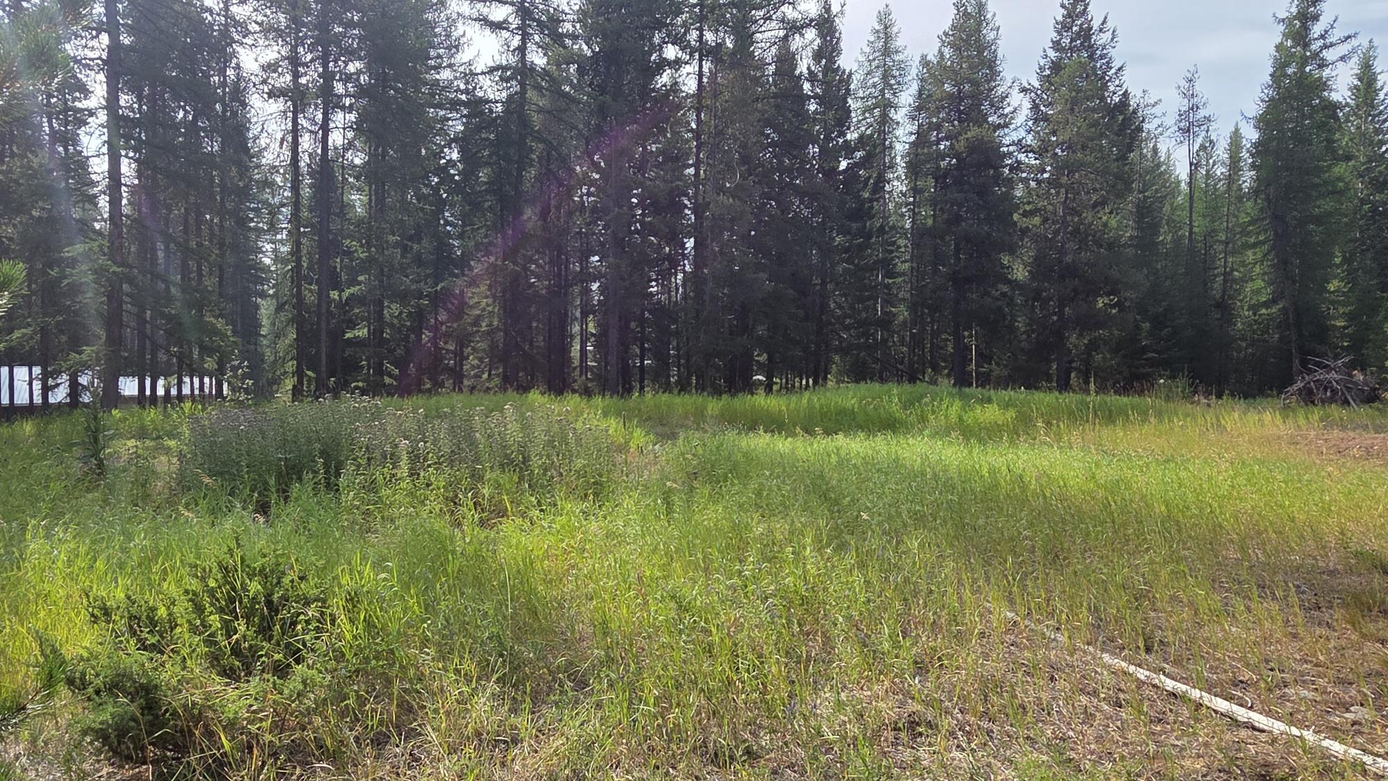 8025 Sorensen Road, Kimberley, BC