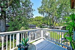 surrounded by mature trees - 