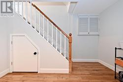 wide plank laminate thru the basement - 