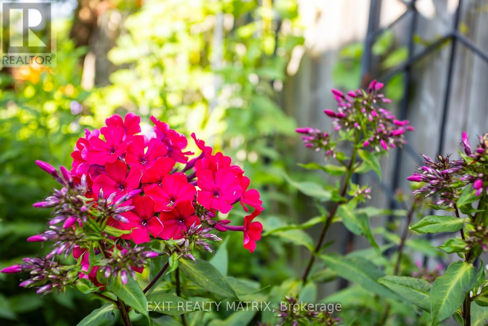 2064 St Laurent Boulevard, Ottawa, ON - Outdoor