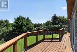 Surrounded by Mature Trees - 