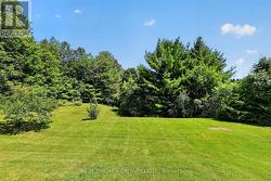 Beautifully Manicured Lot - 
