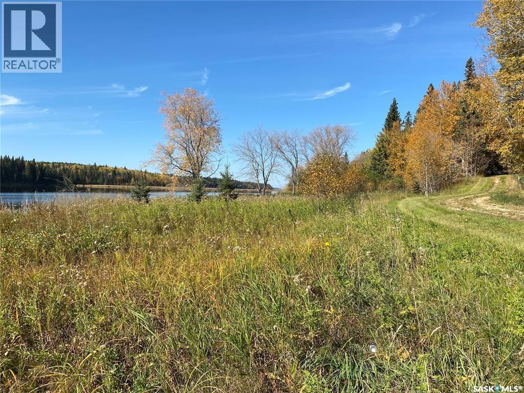 340 Johnson Avenue, Big River, SK - Outdoor With View