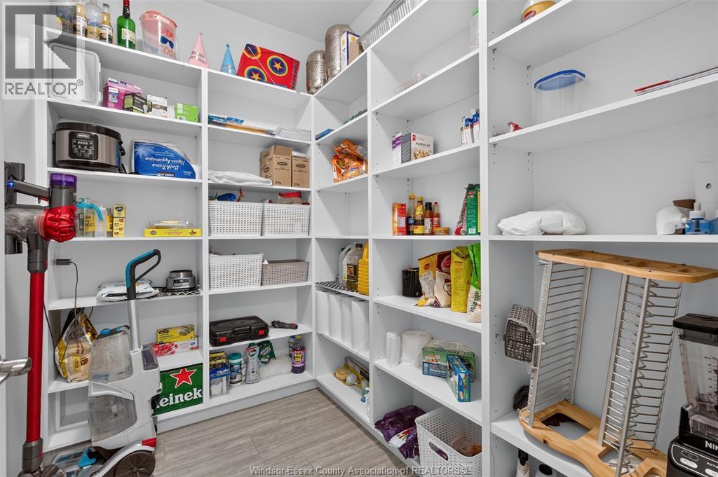 353 Benjamin, Belle River, ON - Indoor With Storage