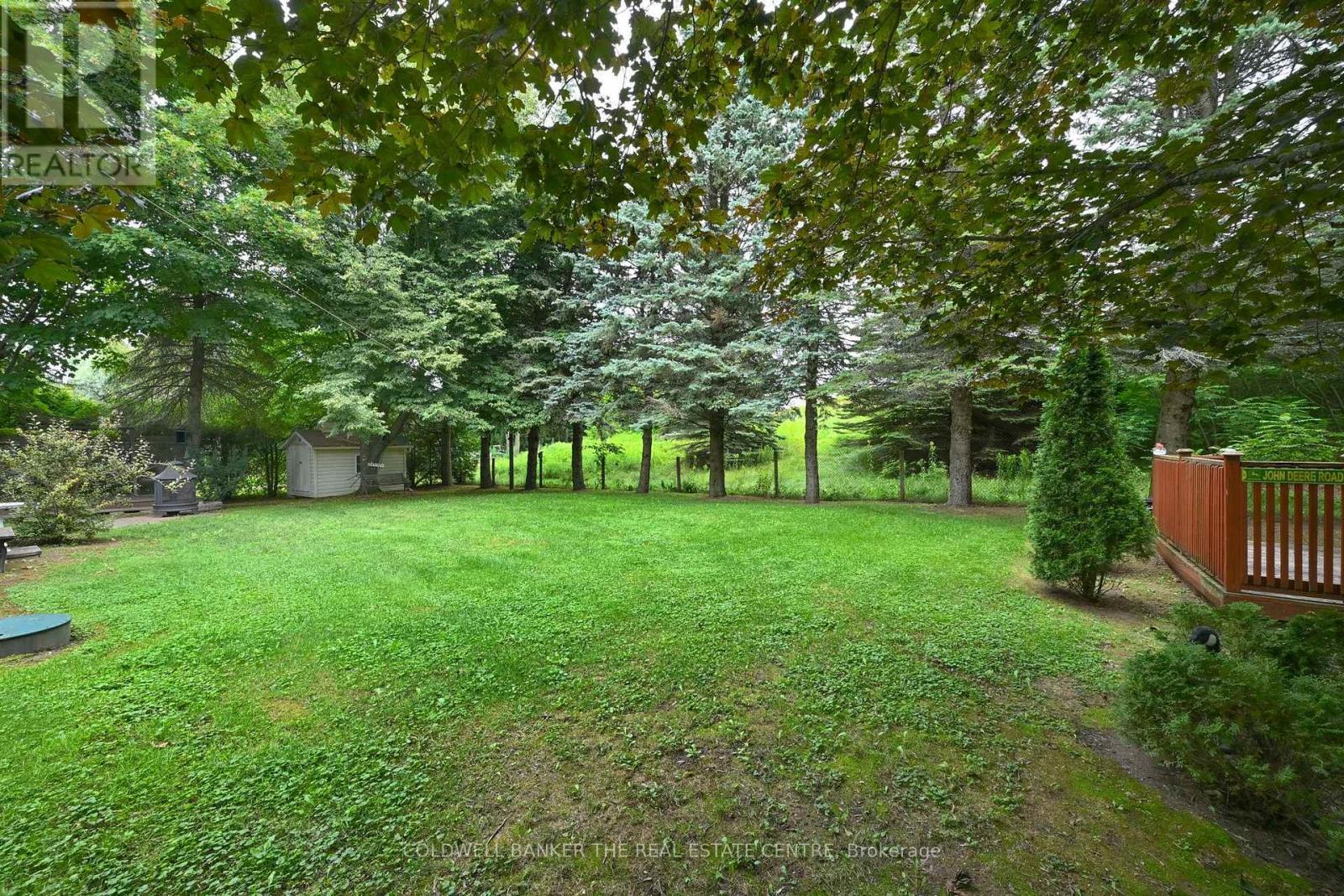 Backyard - 5471 8Th Line, Essa, ON - Outdoor