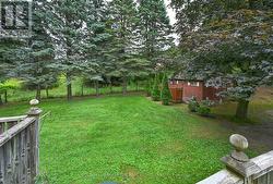 Yard view -