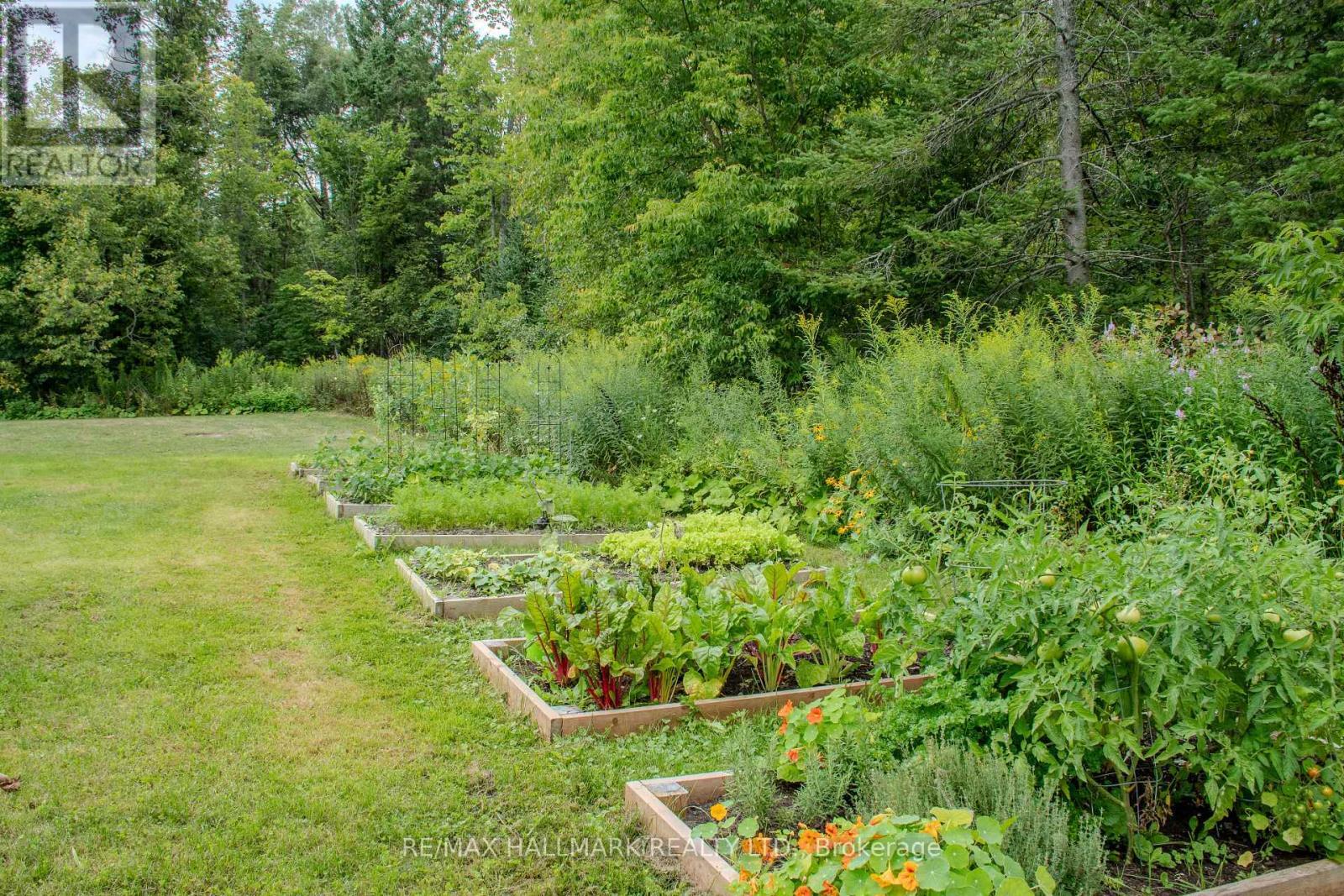 175 Concession 2 Road, Brock, ON - Outdoor
