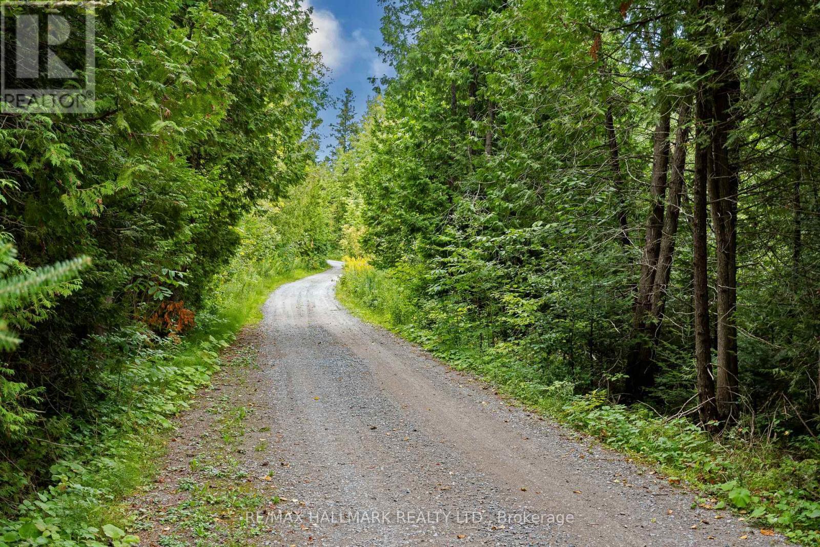 175 Concession 2 Road, Brock, ON - Outdoor