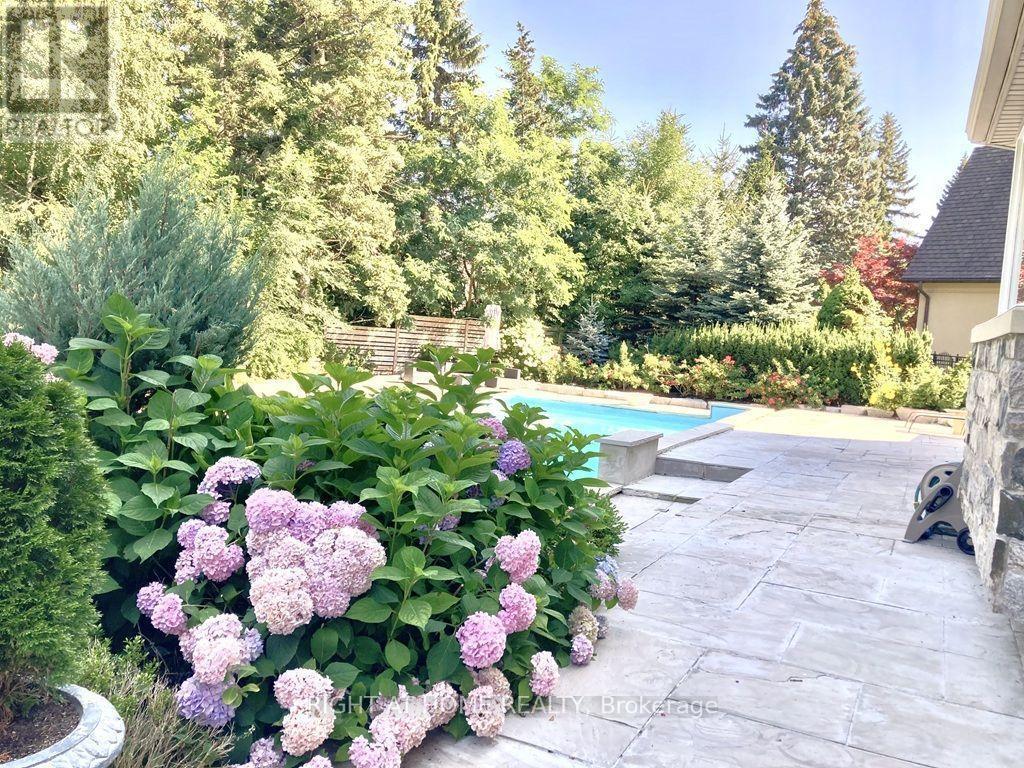 471 Country Club Crescent, Mississauga, ON - Outdoor With In Ground Pool