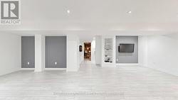 entertainment room basement - 