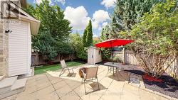 backyard - 