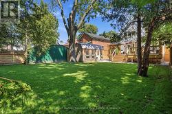 Backyard - 