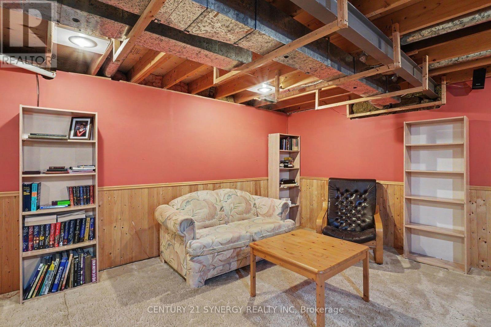 Lower Level Rec Space - 1078 Alenmede Crescent, Ottawa, ON - Indoor