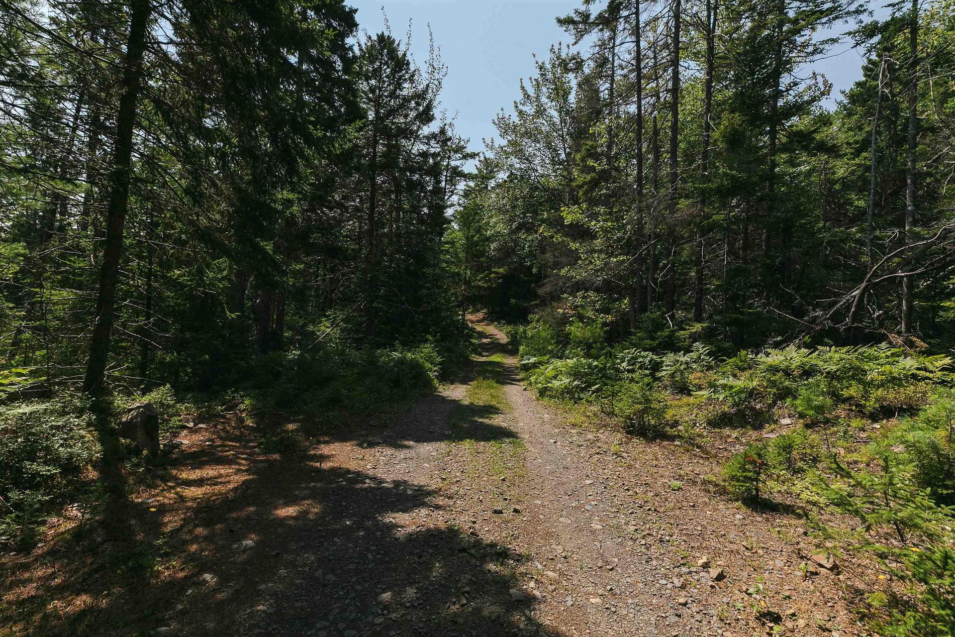 98 Borgalds Point Road, Chester Basin, NS