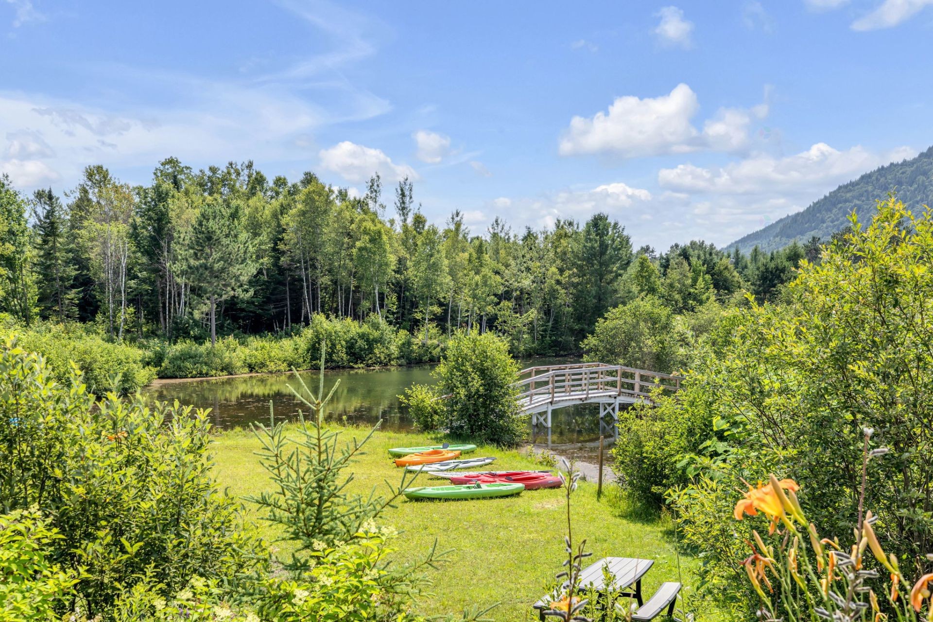 Cour - 765 Av. Ste-Brigitte, Sainte-Brigitte-De-Laval, QC - Outdoor With View