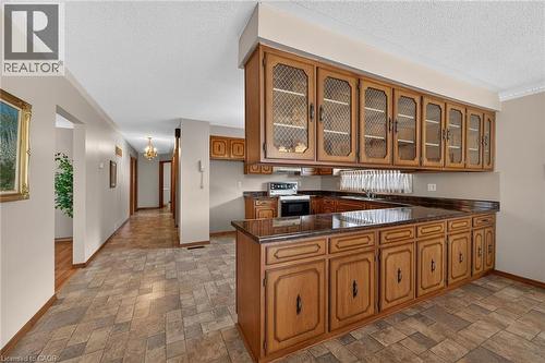 39 Algonquin Court, Hamilton, ON - Indoor Photo Showing Kitchen