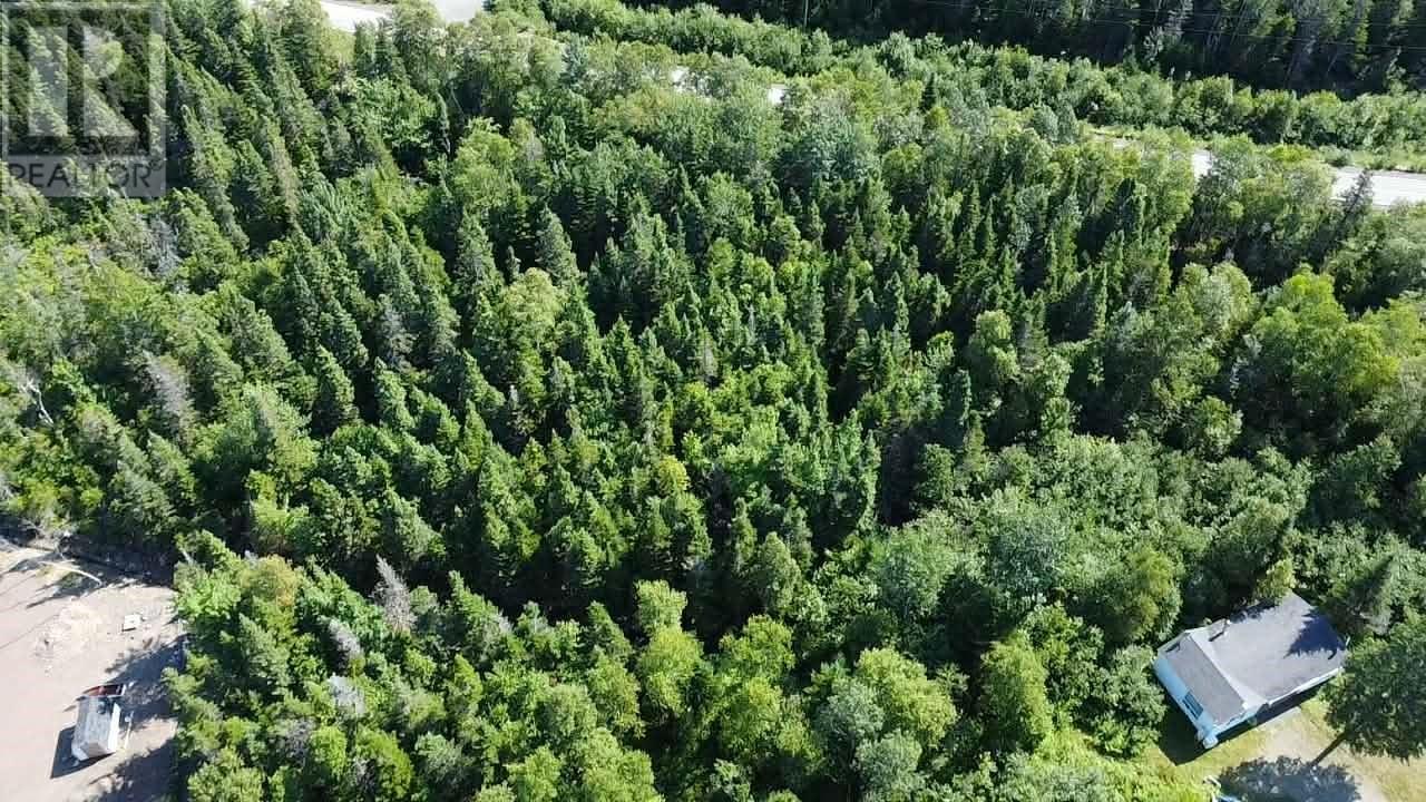 0 Route 350 Highway, Western Arm, NL - Outdoor With View