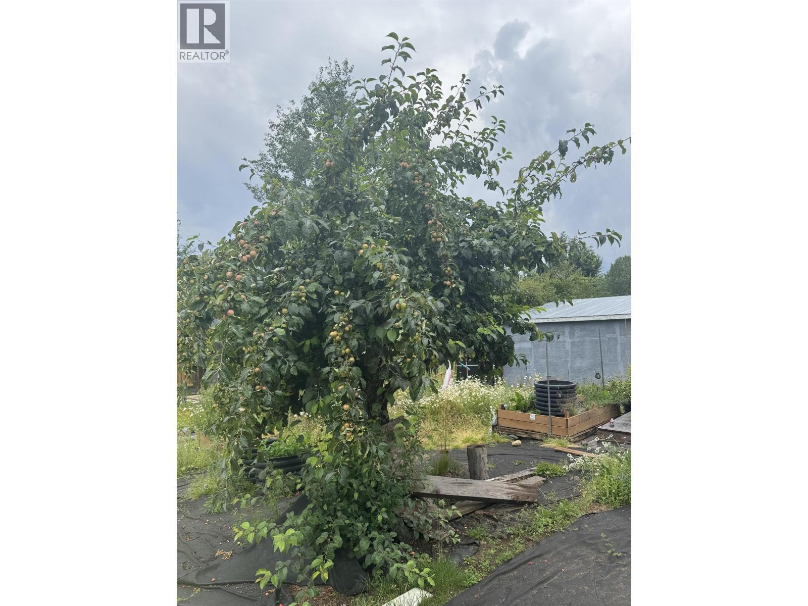 13 Manson Crescent, Mackenzie, BC - Outdoor