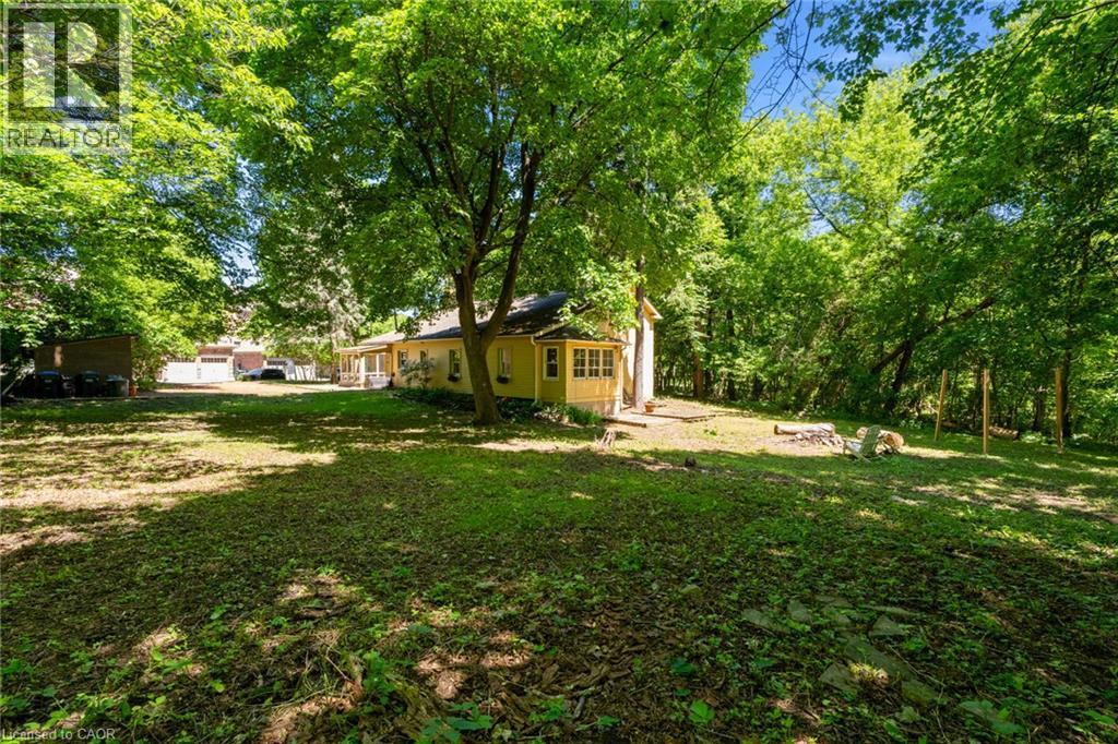 Expansive backyard featuring a lush lawn and mature trees - 41 Mill Street, Mississauga, ON - Outdoor
