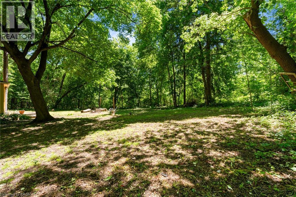 Wooded grounds featuring mature trees and dappled sunlight - 41 Mill Street, Mississauga, ON - Outdoor