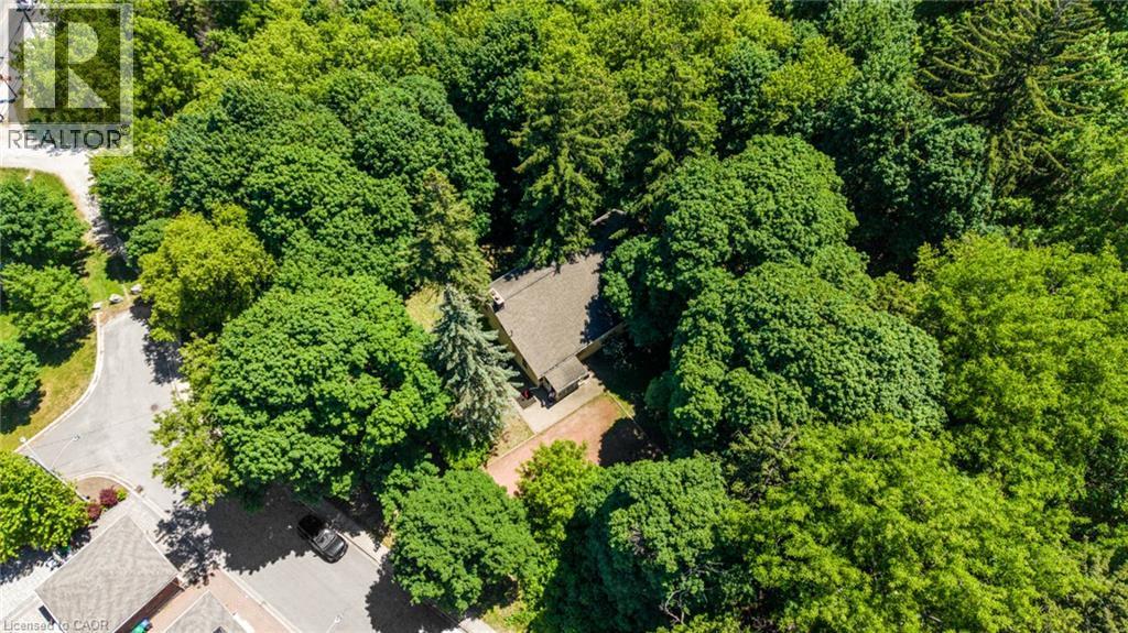 Secluded property surrounded by extensive mature tree coverage - 41 Mill Street, Mississauga, ON - Outdoor