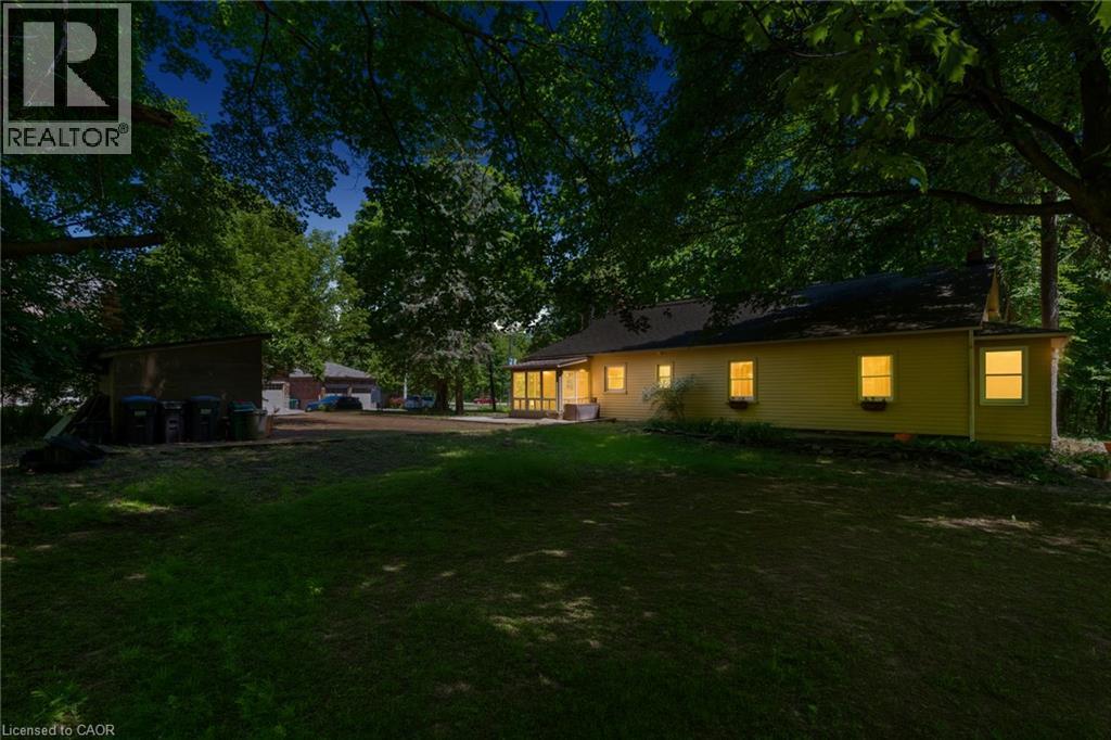 Expansive grassy area with mature trees and a detached shed - 41 Mill Street, Mississauga, ON - Outdoor