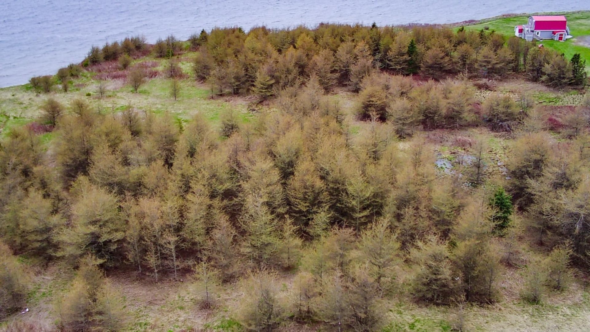 Terre/Terrain - 314 Route 132 E., Bonaventure, QC