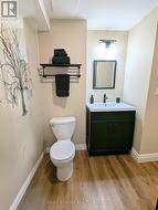 Lower Level Bathroom - 