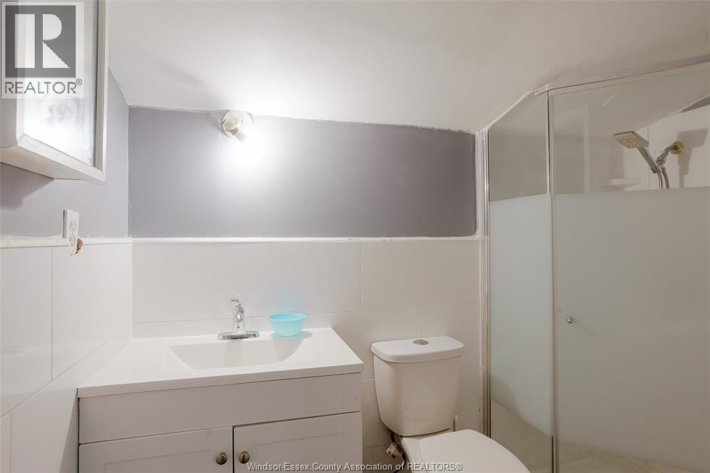 355 Bridge, Windsor, ON - Indoor Photo Showing Bathroom