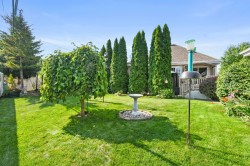 Courtyard - 