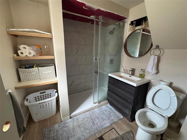 1182 Pritchard Ave, Winnipeg, MB - Indoor Photo Showing Bathroom