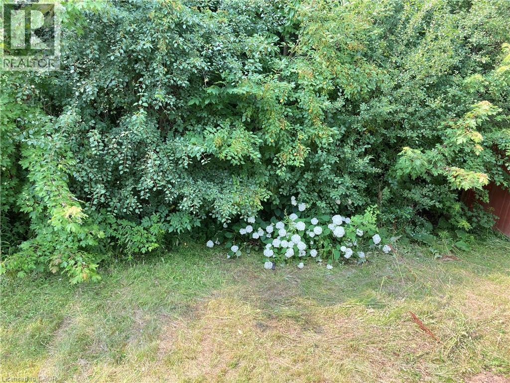 Lush shrubbery with white floral accents - 720 Brookmill Place, Waterloo, ON - Outdoor