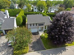 Aerial View - 