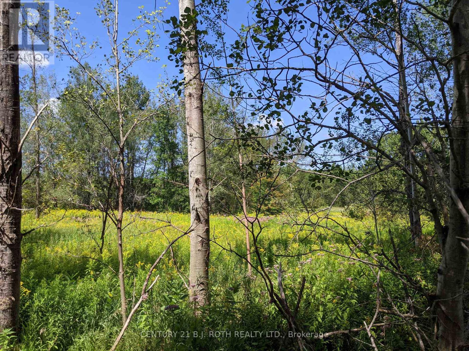 2361 George Johnston Road, Springwater, ON