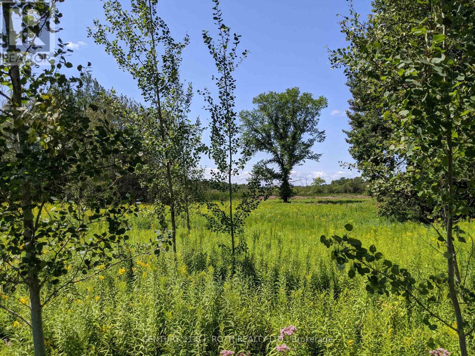 2361 George Johnston Road, Springwater, ON