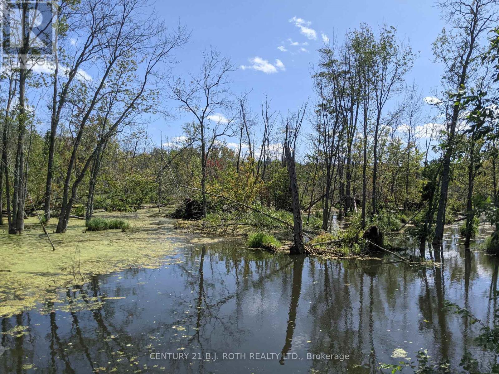 2361 George Johnston Road, Springwater, ON