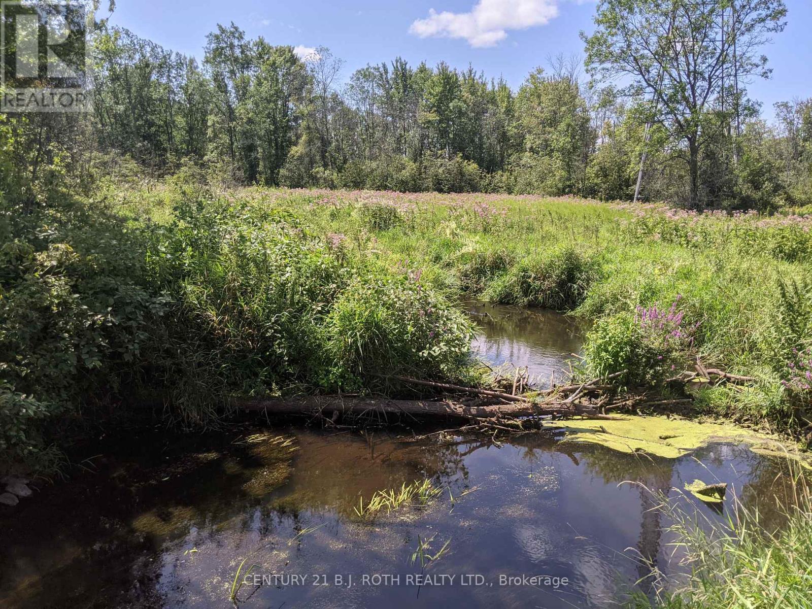2361 George Johnston Road, Springwater, ON