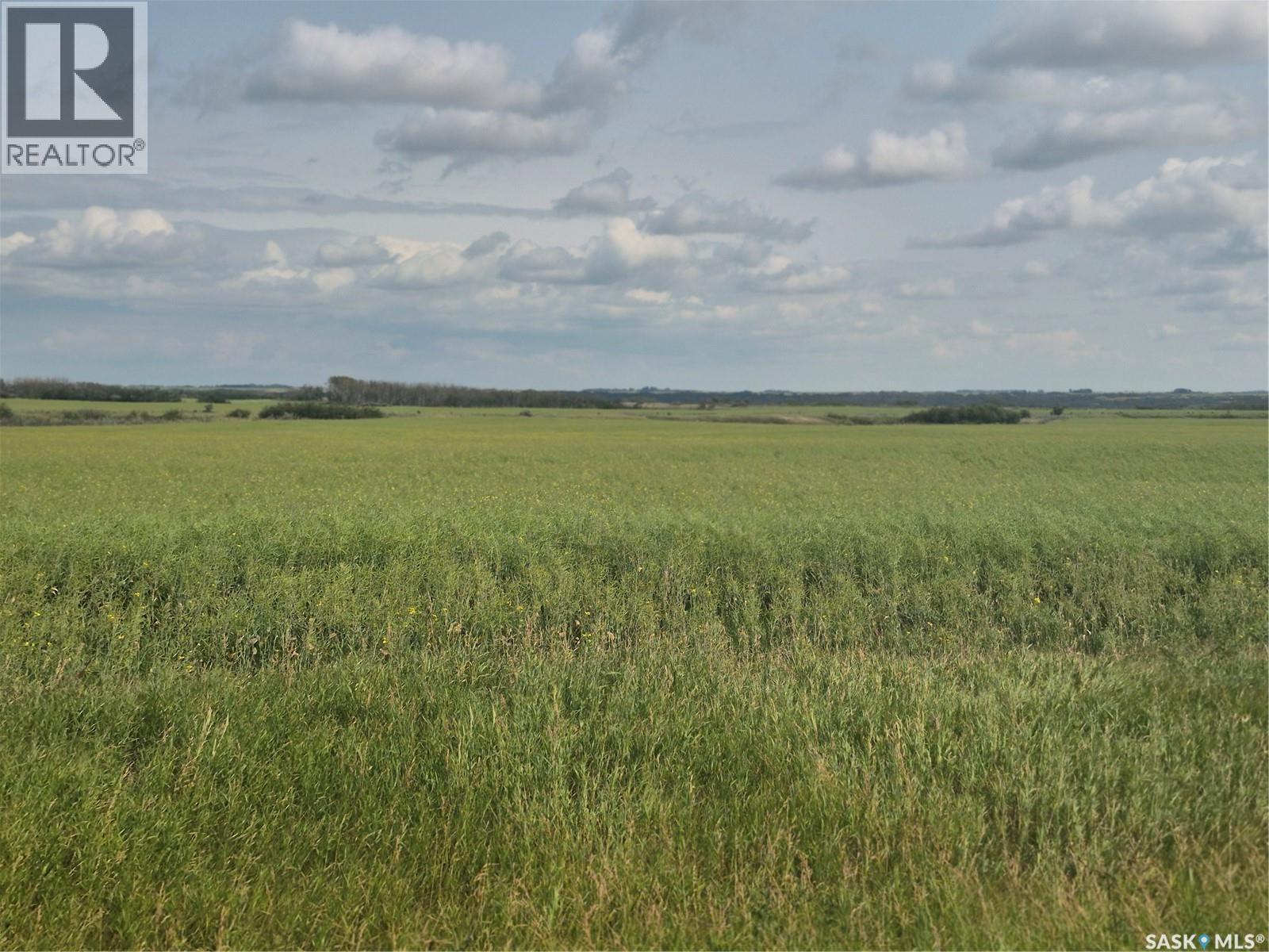 Dolezal Land, Blaine Lake Rm No. 434, SK