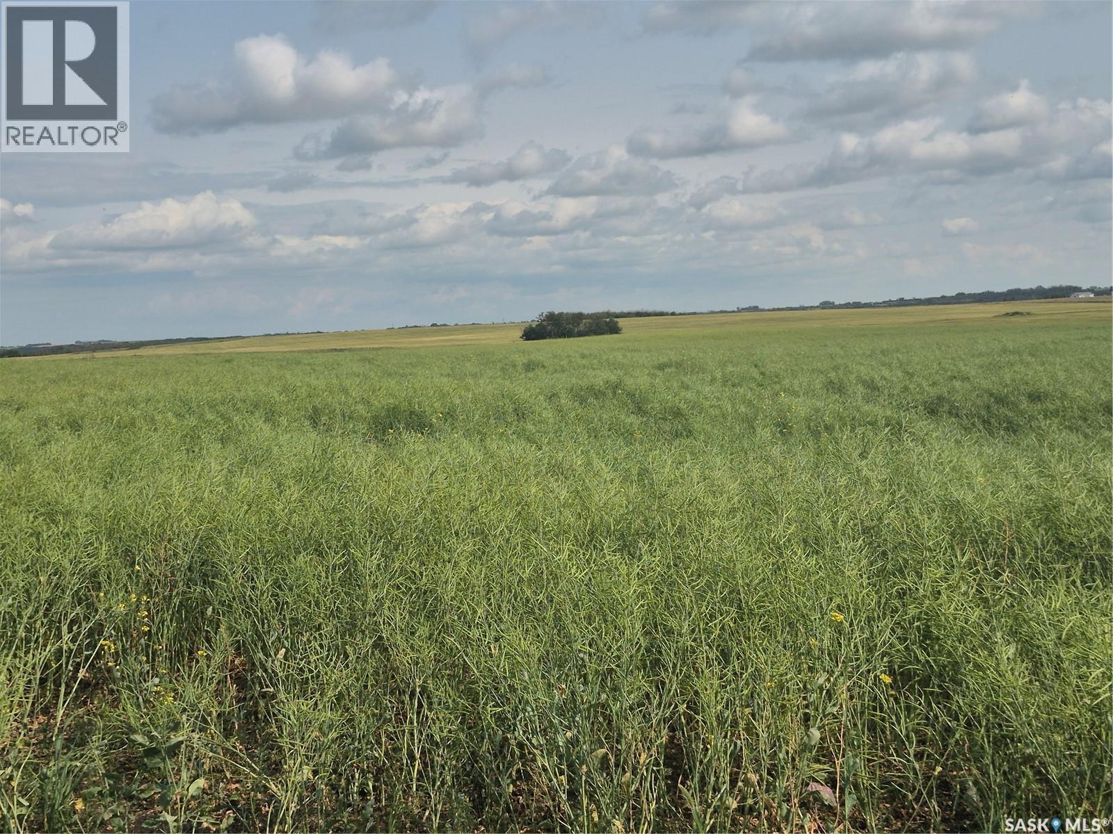 Dolezal Land, Blaine Lake Rm No. 434, SK