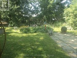 Backyard - 