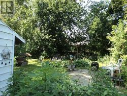 Backyard - 