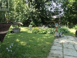 Backyard - 
