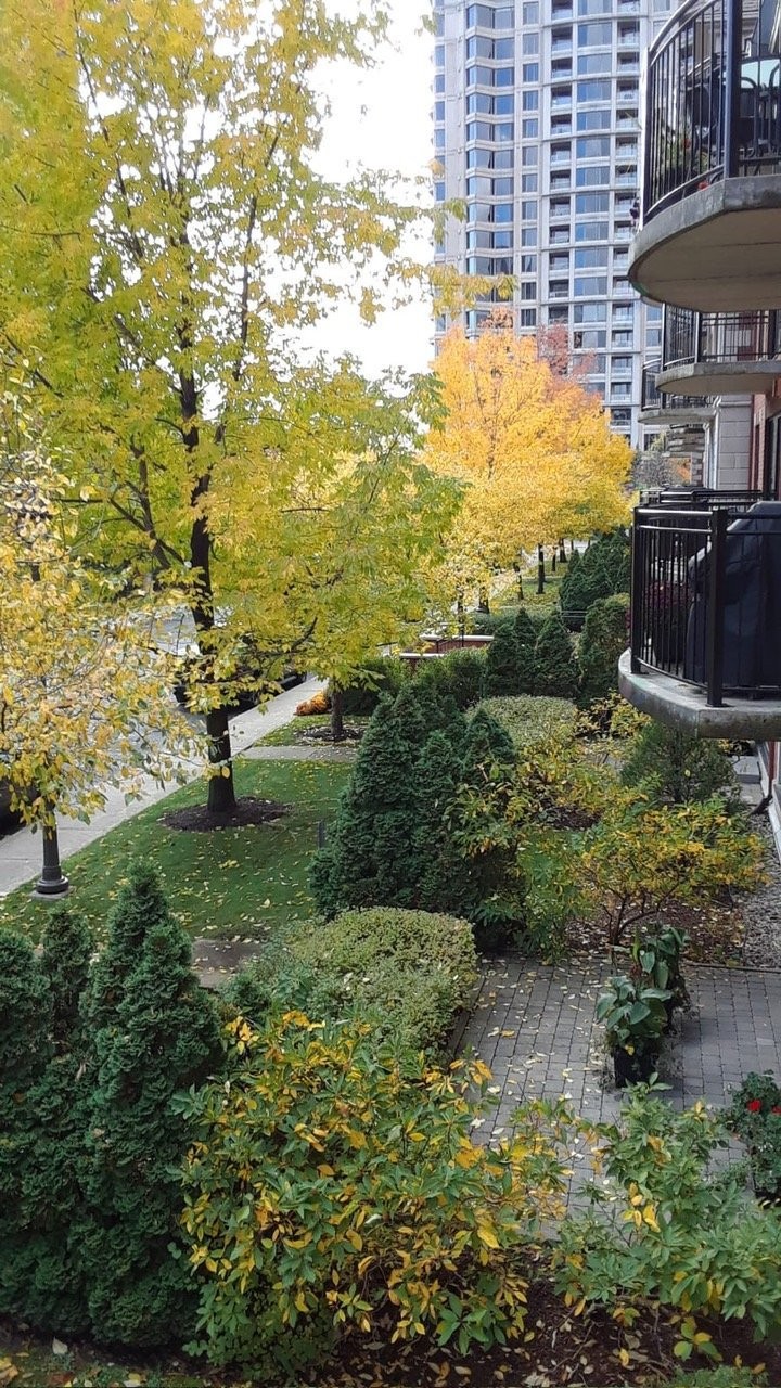 View - 211-2 Place Des Jardins-Des-Vosges, Montréal (Verdun/Île-Des-Soeurs), QC - Outdoor With Balcony