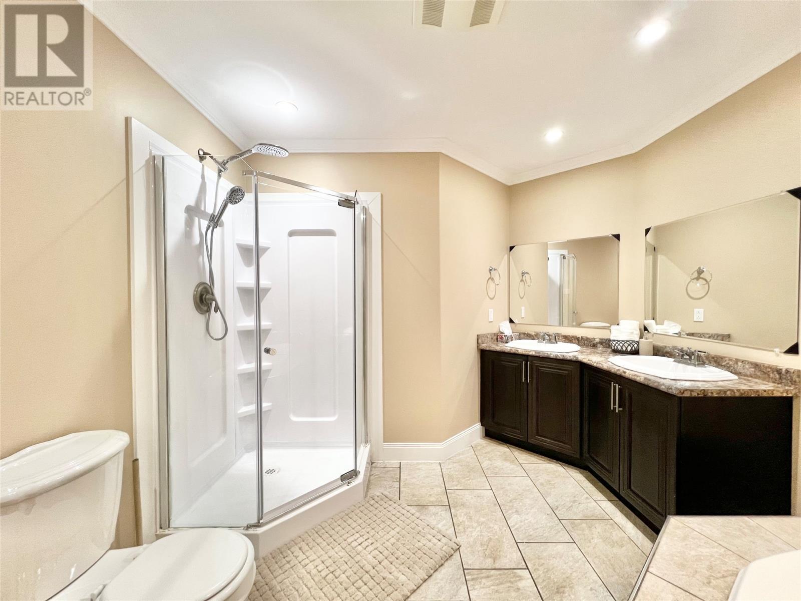4 Birch Street, Badger, NL - Indoor Photo Showing Bathroom
