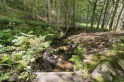 Terre/Terrain - 